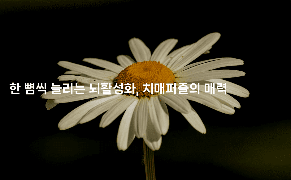 한 뼘씩 늘리는 뇌활성화, 치매퍼즐의 매력2-시니어리그