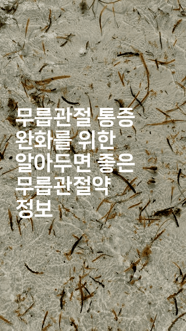 무릅관절 통증 완화를 위한 알아두면 좋은 무릅관절약 정보2-시니어리그