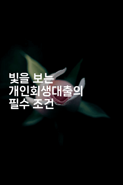 빛을 보는 개인회생대출의 필수 조건