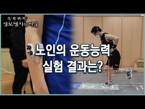 [노인운동] 노인이 운동할때 신체는 어떤 상태? 다치지 않기 위한 방법은? (KBS 20220525 방송)
