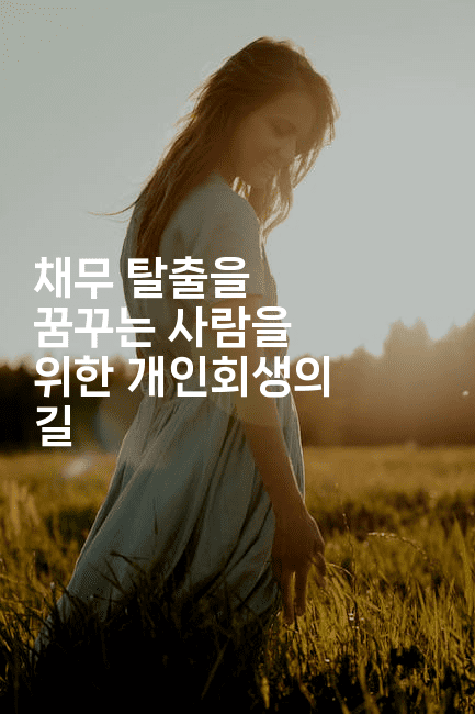 채무 탈출을 꿈꾸는 사람을 위한 개인회생의 길-시니어리그