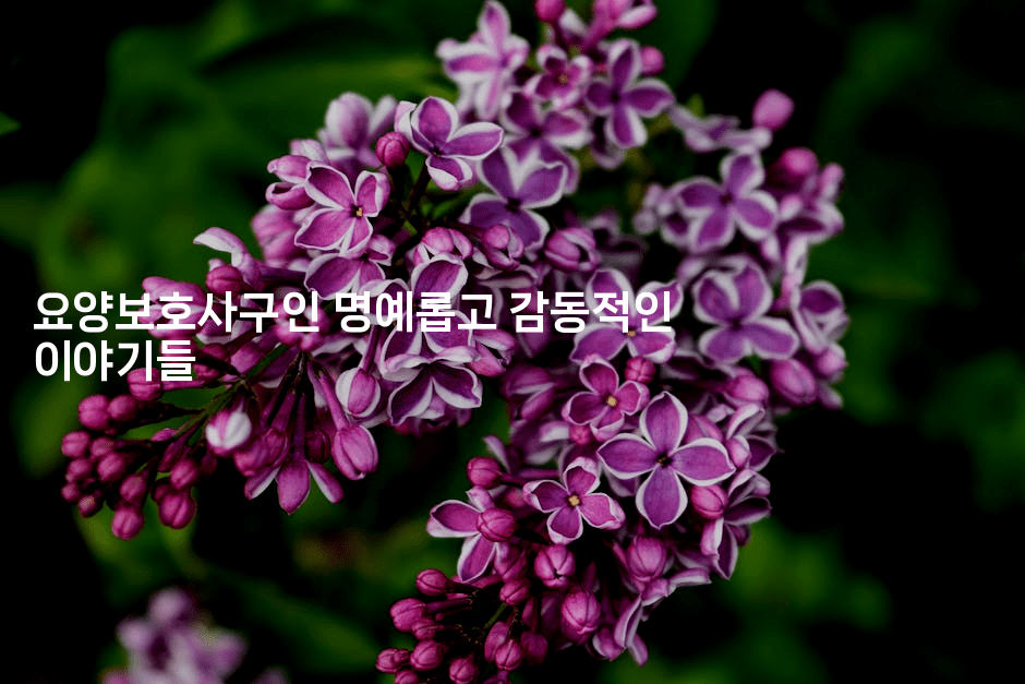 요양보호사구인 명예롭고 감동적인 이야기들2-시니어리그