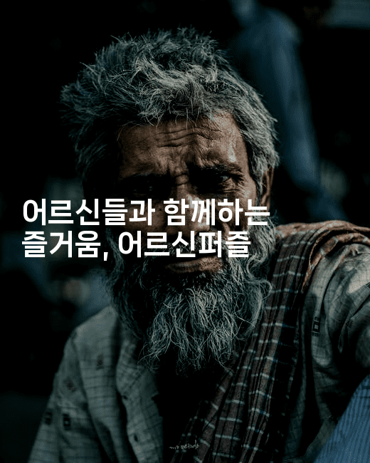 어르신들과 함께하는 즐거움, 어르신퍼즐-시니어리그