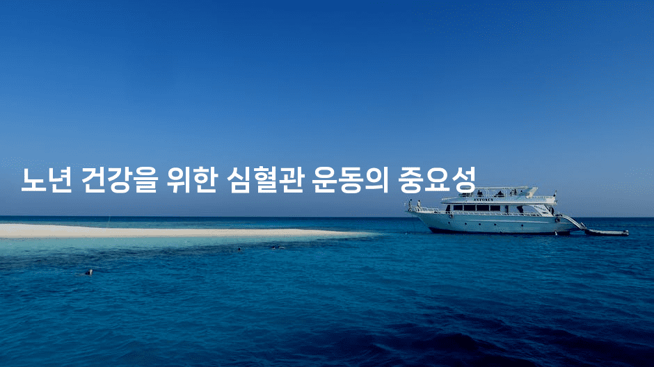 노년 건강을 위한 심혈관 운동의 중요성
2-시니어리그