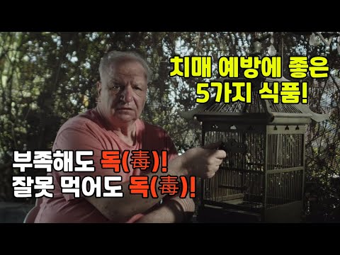 치매 예방에 좋은 5가지 식품! 부족해도 독(毒)! 잘못 먹어도 독(毒)입니다!