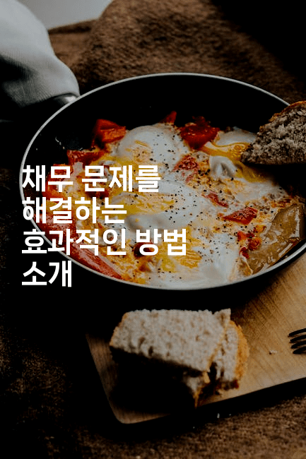 채무 문제를 해결하는 효과적인 방법 소개-시니어리그