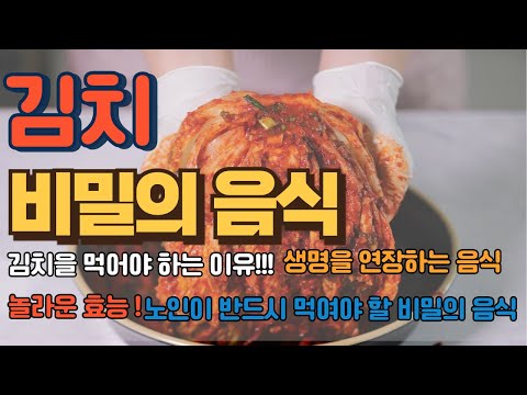 노인이 반드시 먹어야 할 비밀의 음식! 김치가 숨겨진 건강의 열쇠?