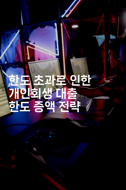 한도 초과로 인한 개인회생 대출 한도 증액 전략-시니어리그