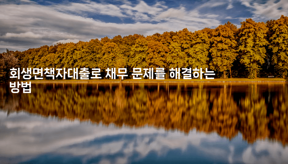 회생면책자대출로 채무 문제를 해결하는 방법-시니어리그