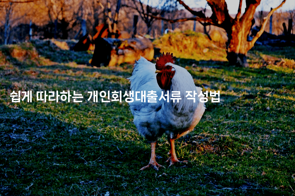 쉽게 따라하는 개인회생대출서류 작성법-시니어리그